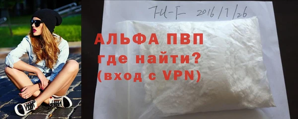 гидра Володарск