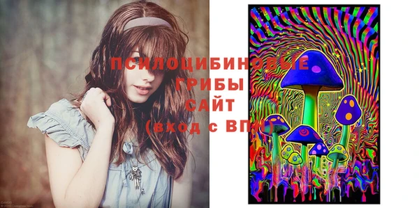 гидропоника Вяземский