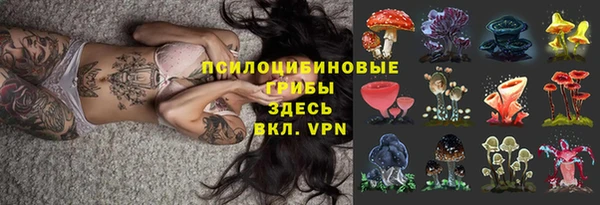мяу мяу мука Вязьма