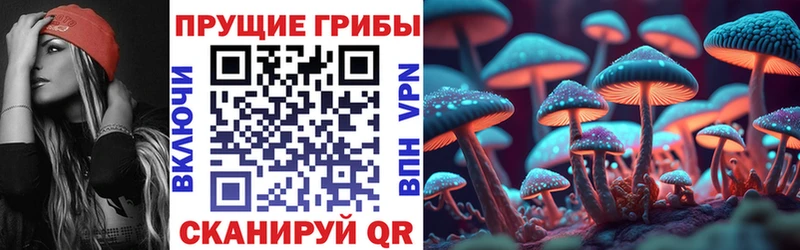 Псилоцибиновые грибы мицелий  Инсар 